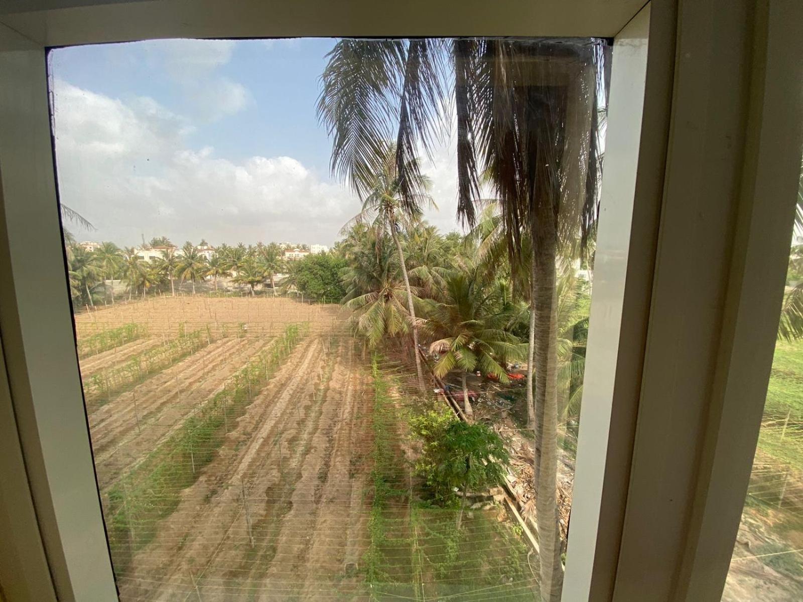 Park complex Salalah