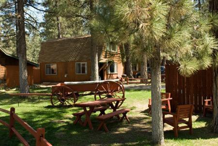 Golden Bear Cottages
