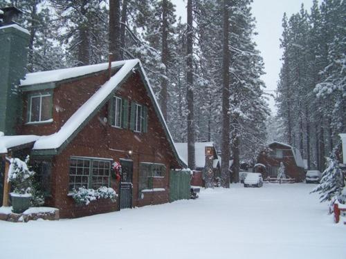 Golden Bear Cottages
