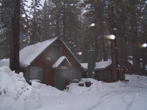Golden Bear Cottages