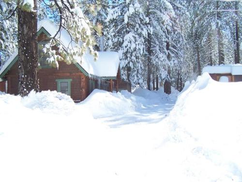Golden Bear Cottages