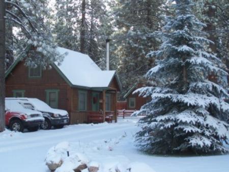 Golden Bear Cottages