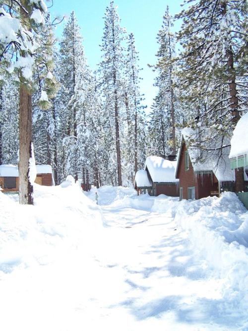 Golden Bear Cottages