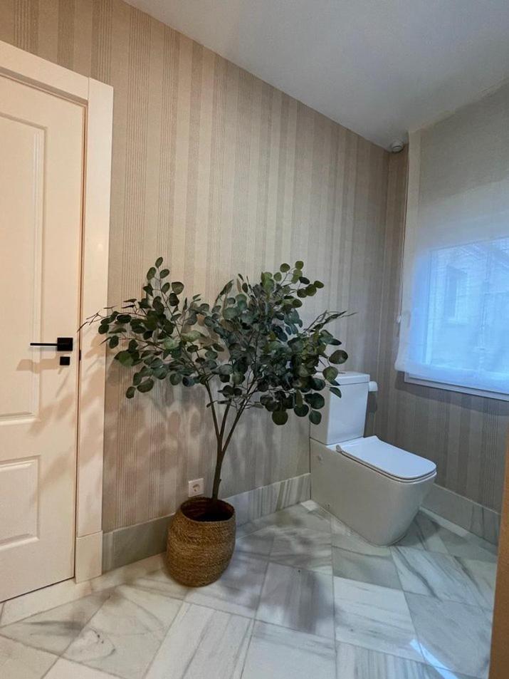 Apartamentos BEJAR - MUSGO