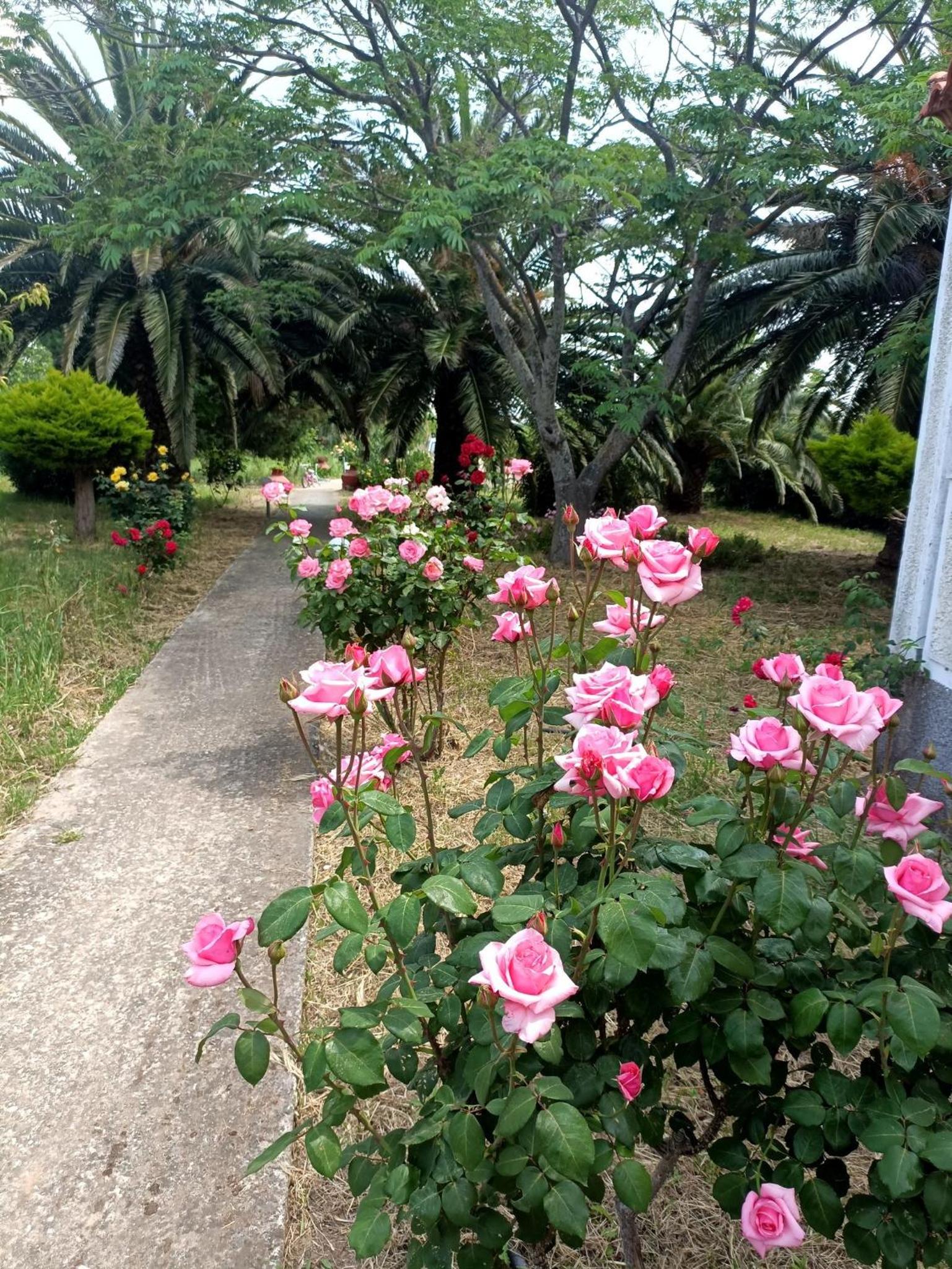 Photo 26