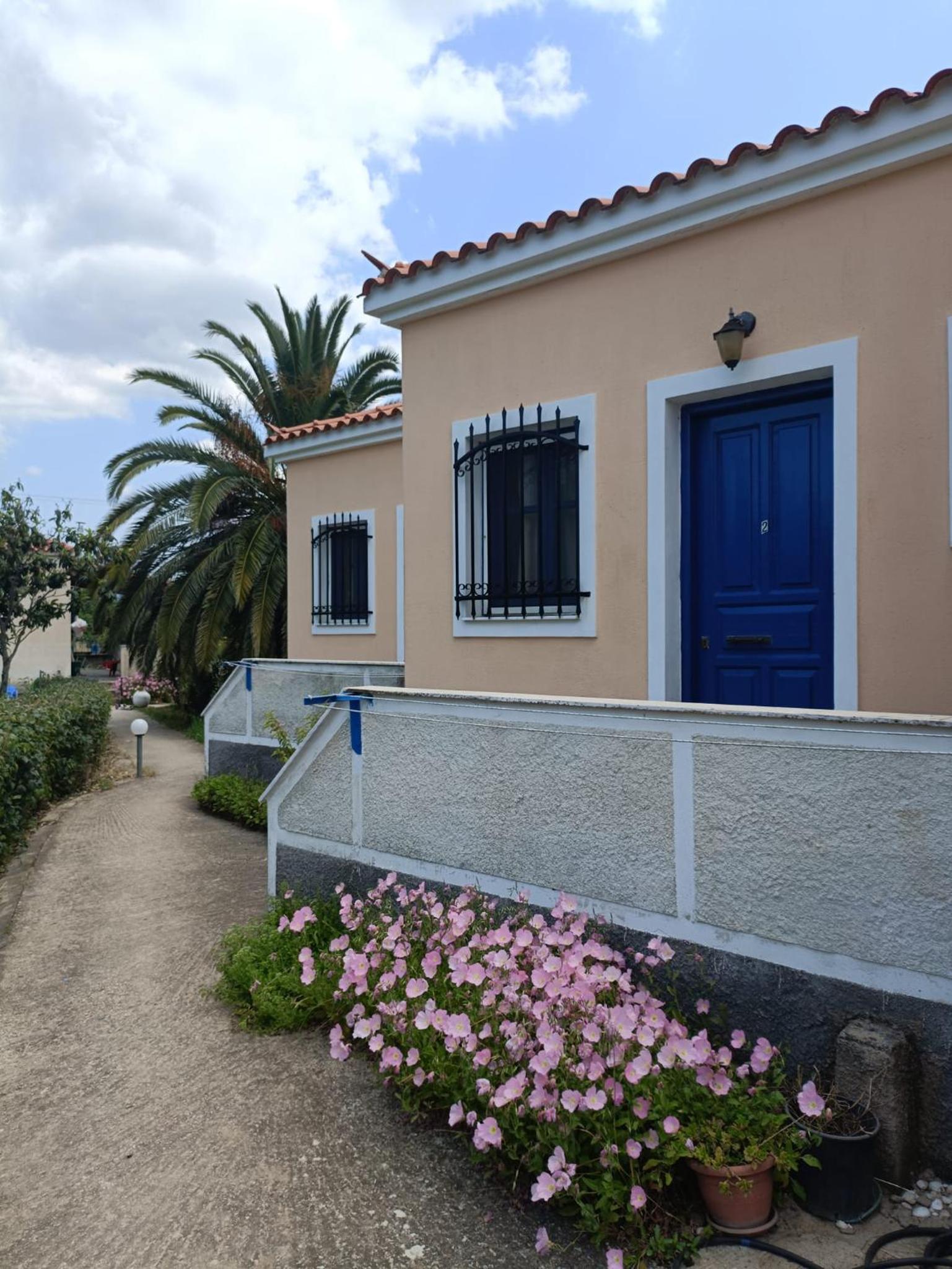 Anna Daniil Oasis Studios Skala Kallonis