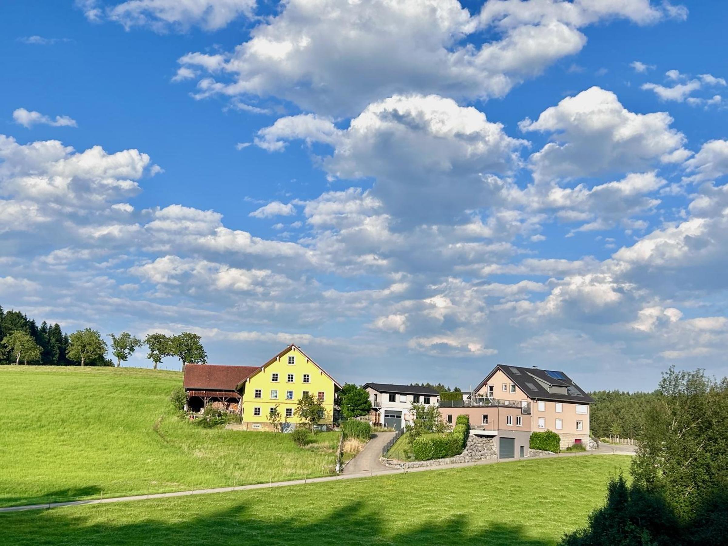 Multi-Fewo Haus Achberg Schottenhof Walser 3 - Property Image 9