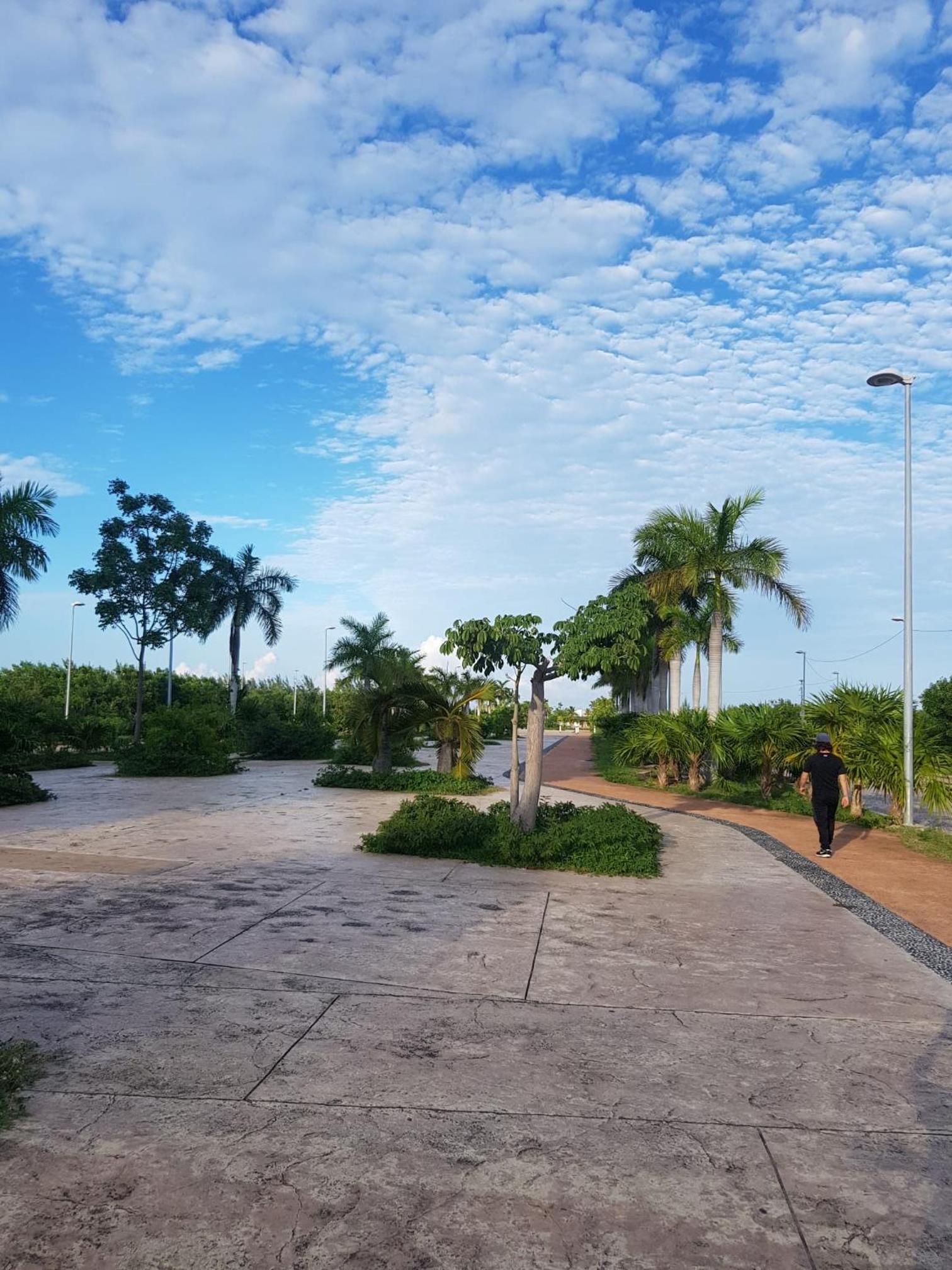 NEW Tropical Poolside Apt Hotel Zone