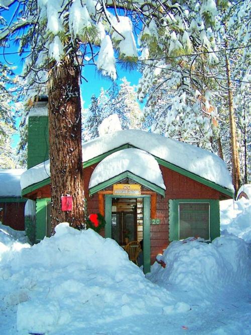 Golden Bear Cottages