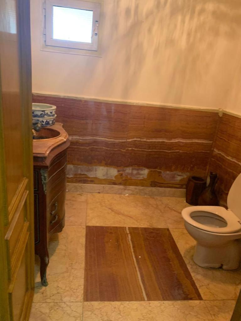 panoramic nile view apartment