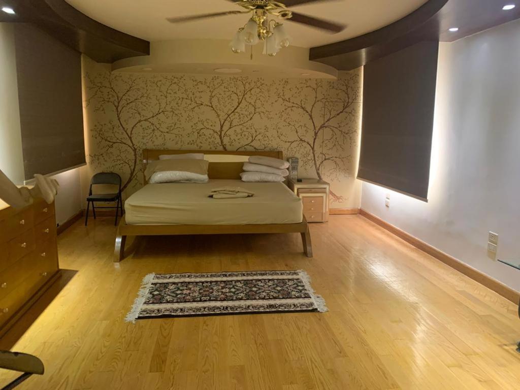 panoramic nile view apartment