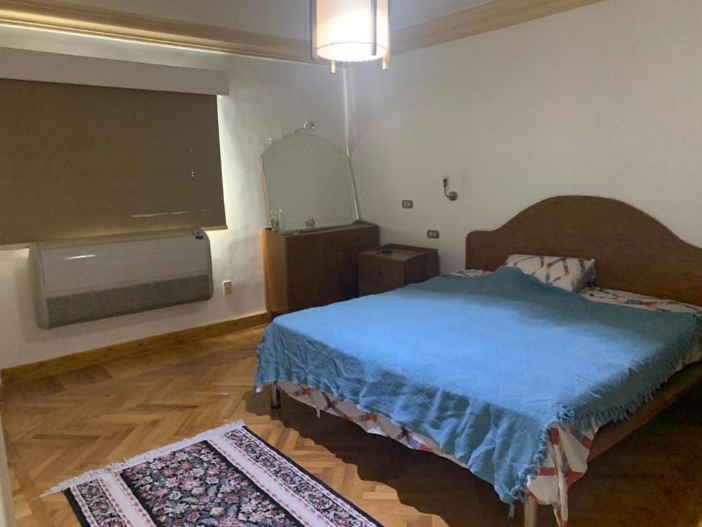 panoramic nile view apartment