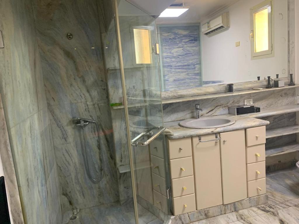 panoramic nile view apartment