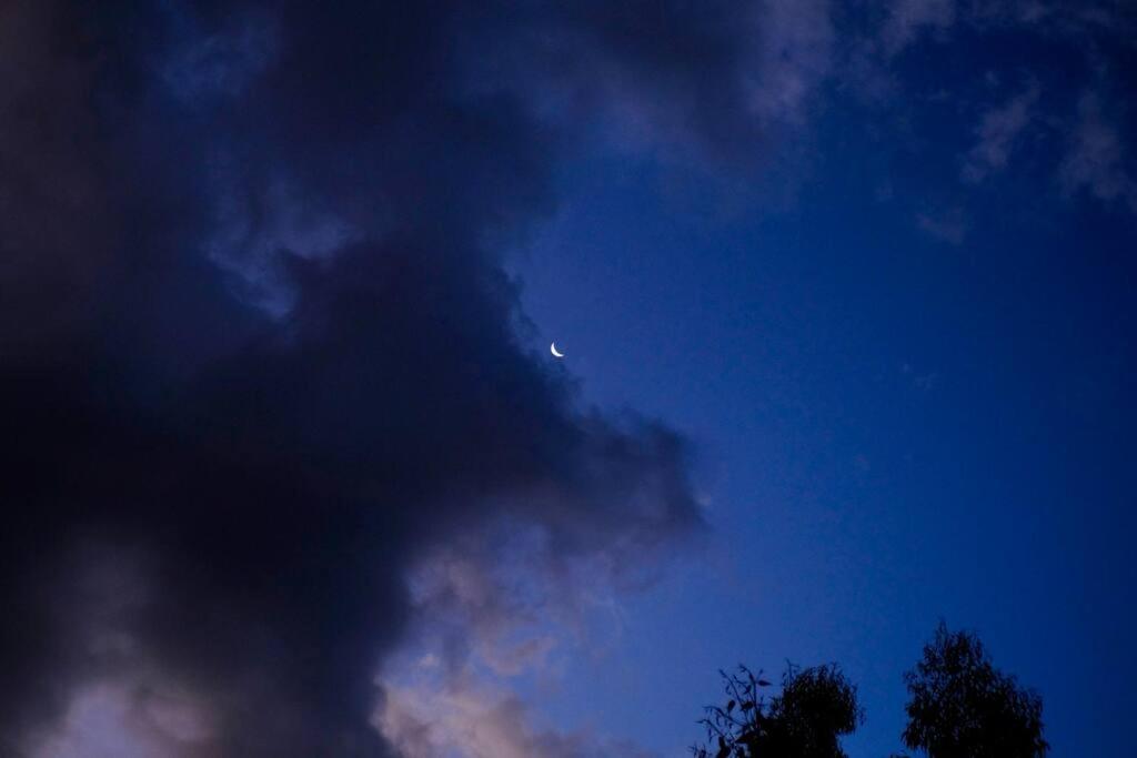 Photo 40