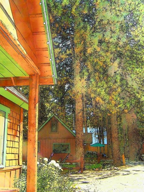 Golden Bear Cottages
