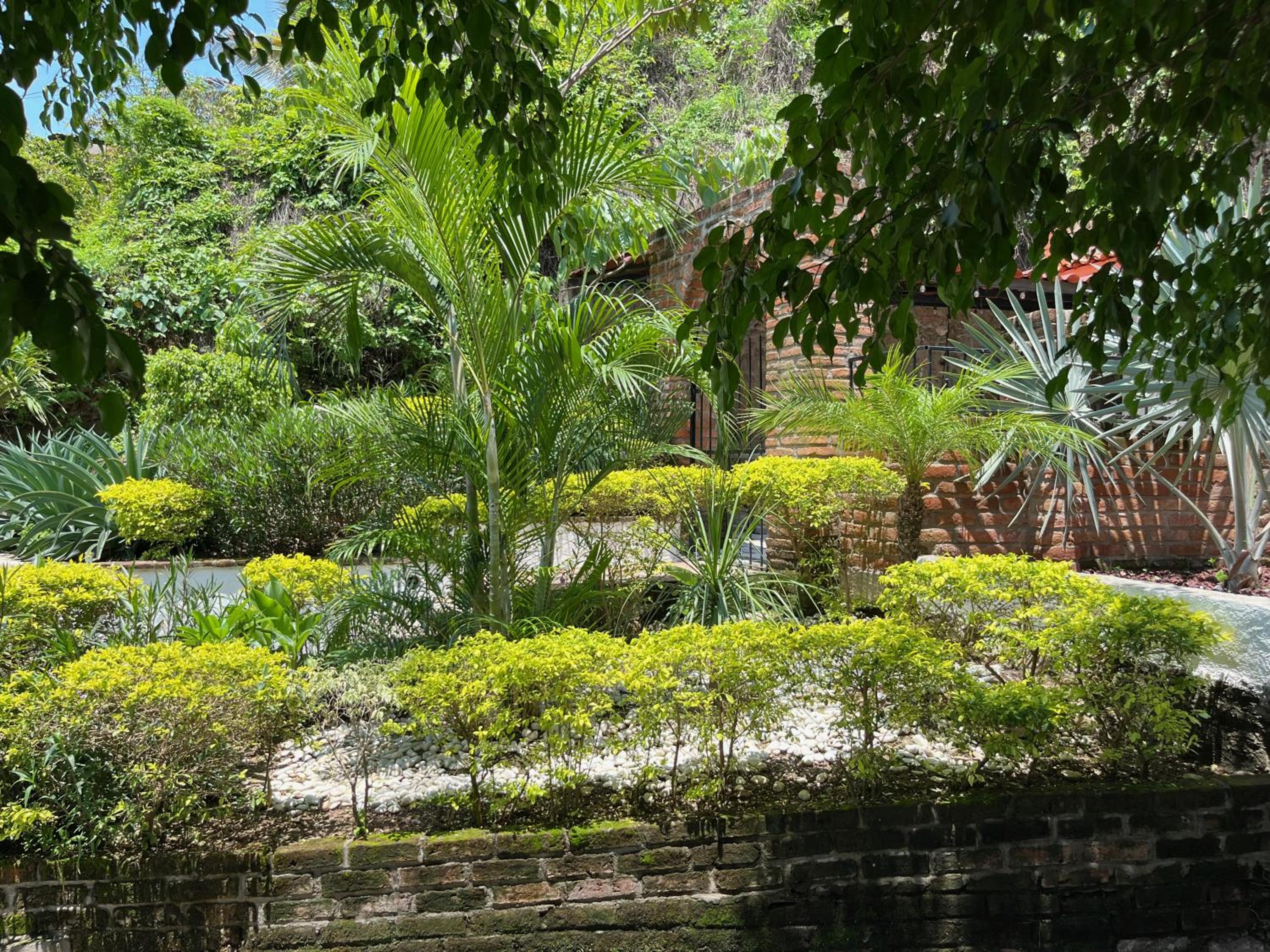 Photo 43