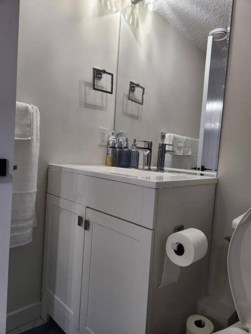 Modern 2 Bedroom Basement Suite Chappelle Edmonton