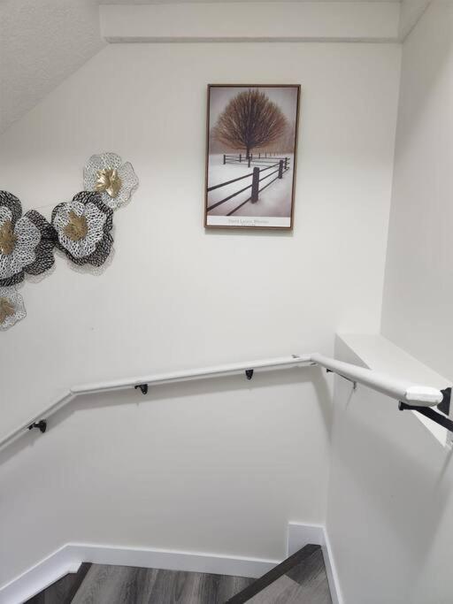 Modern 2 Bedroom Basement Suite Chappelle Edmonton