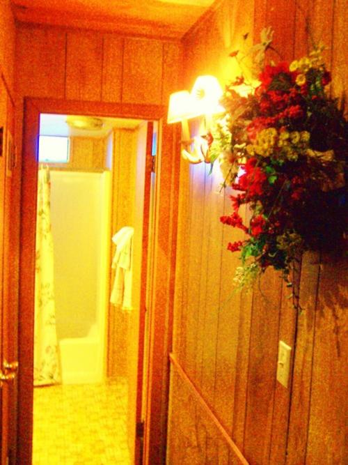 Golden Bear Cottages