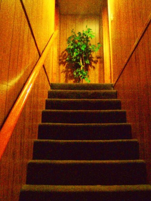 Golden Bear Cottages
