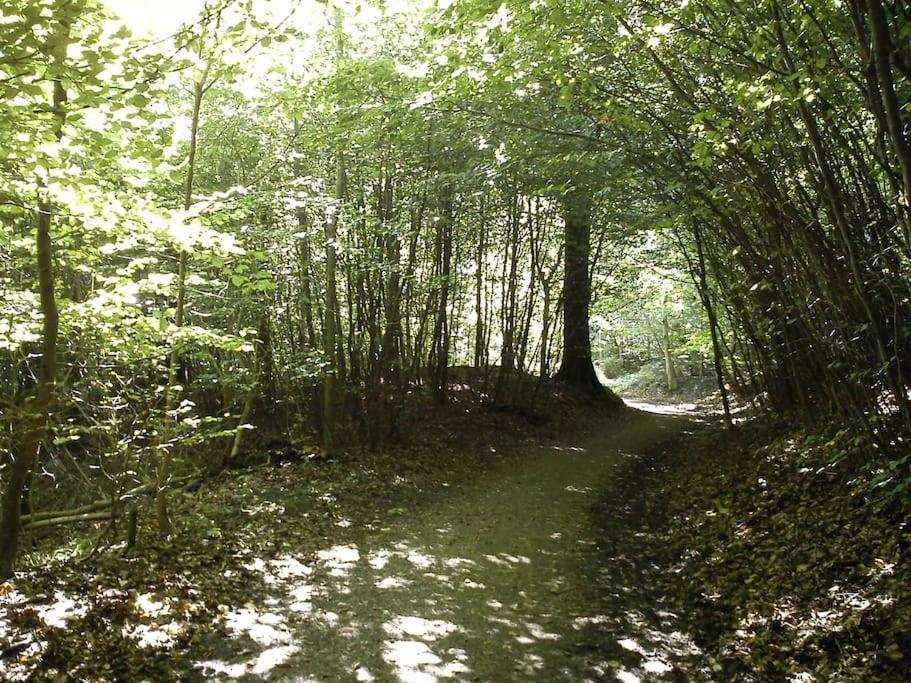 Totalrenoveret villa i Risskov