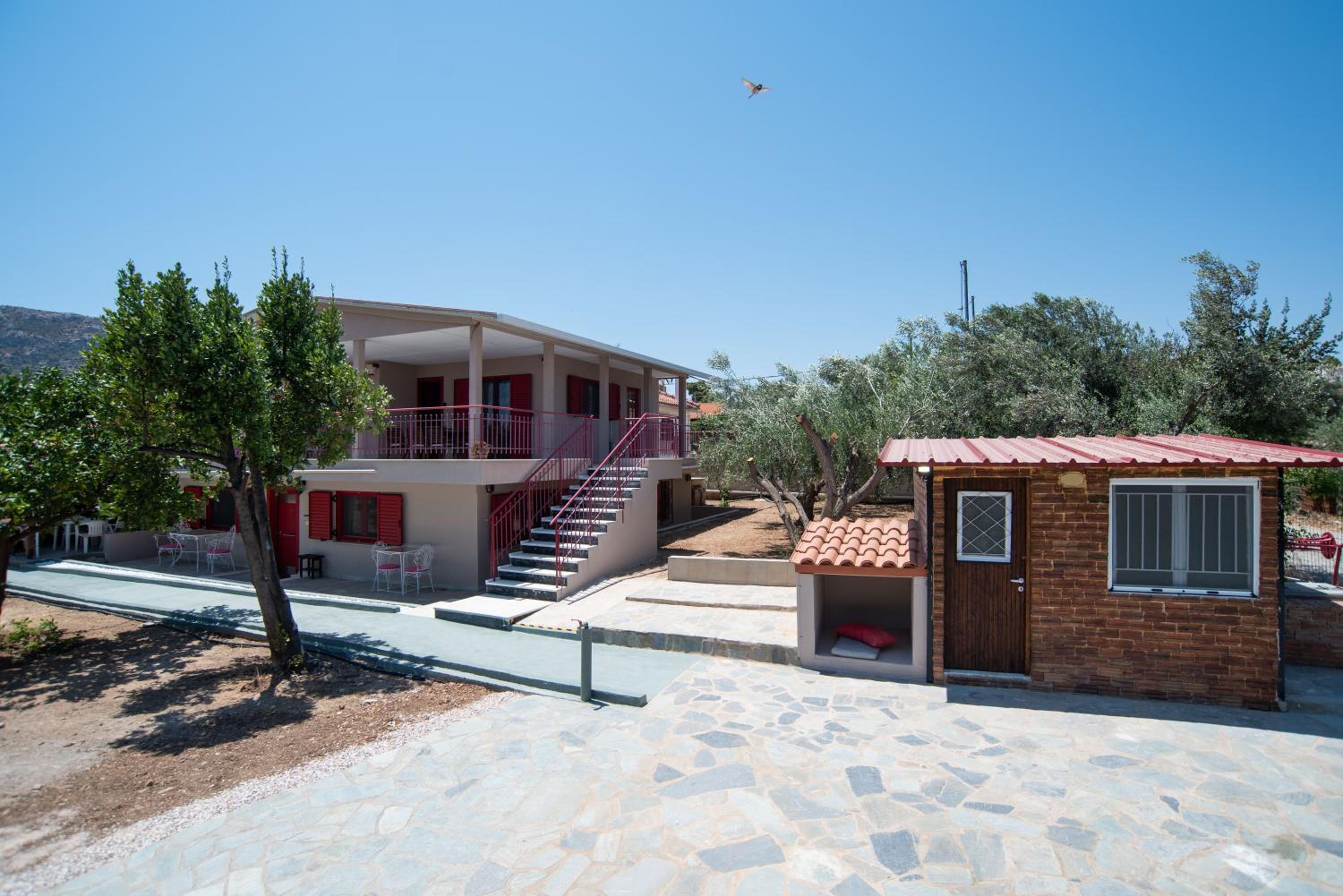 Oregano peaceful complex view 3