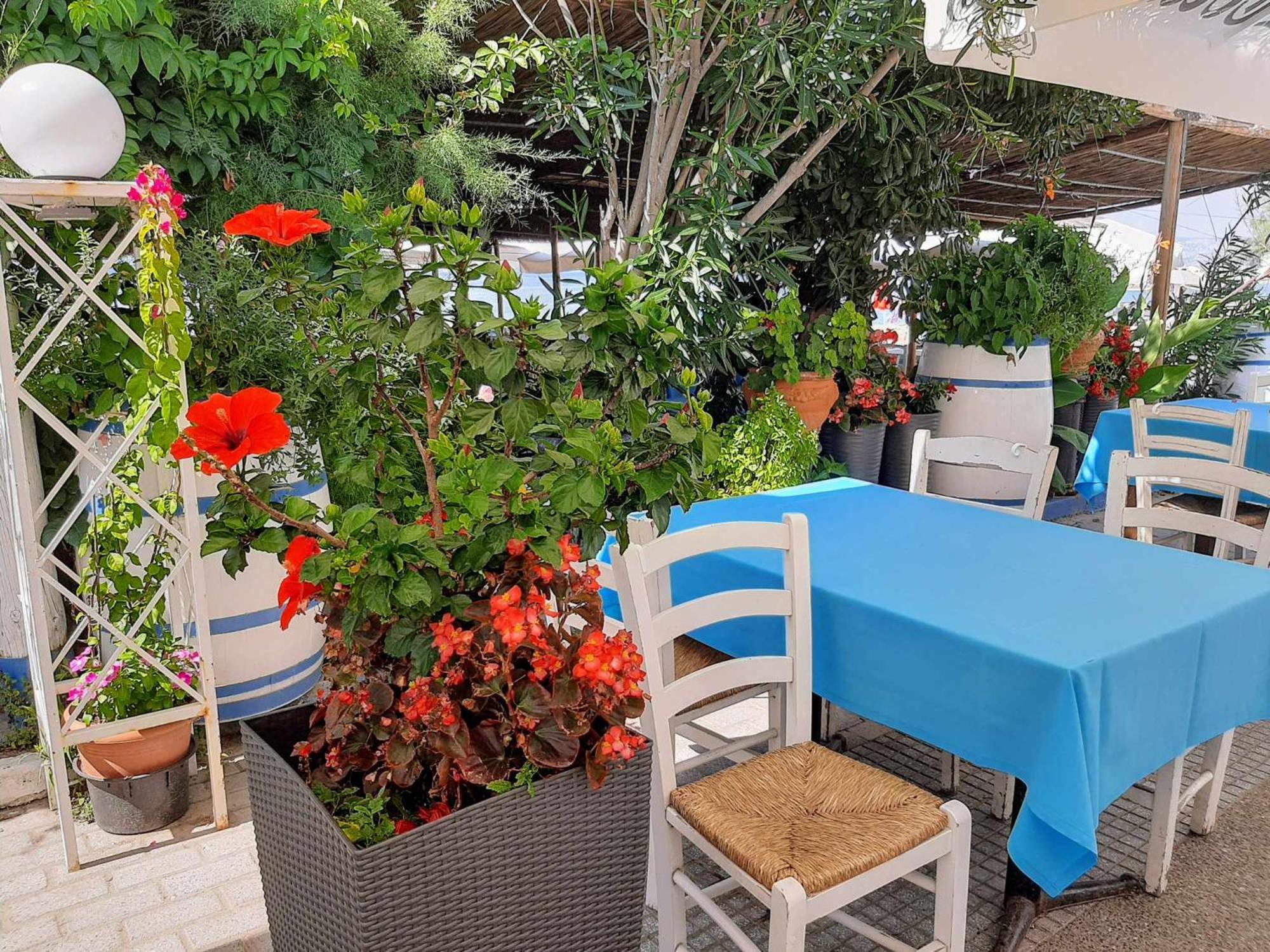 Elaia Luxury Home photo 5