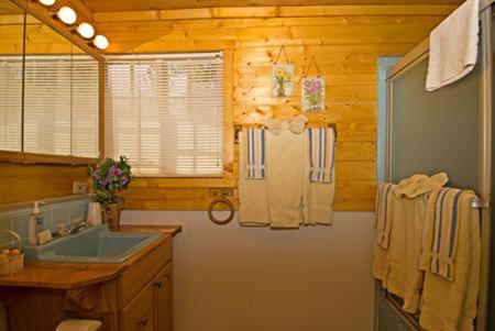 Golden Bear Cottages
