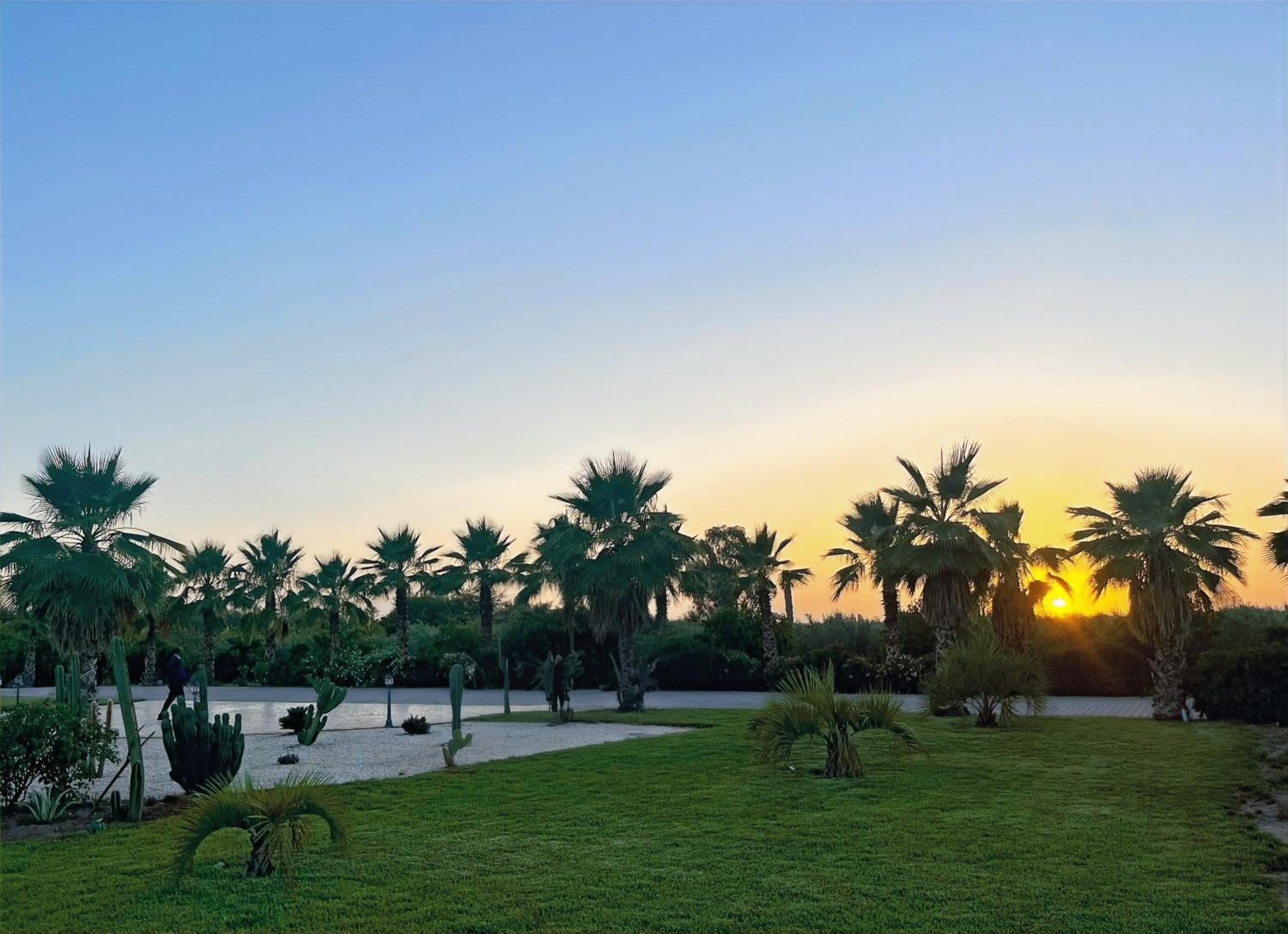 Photo 64