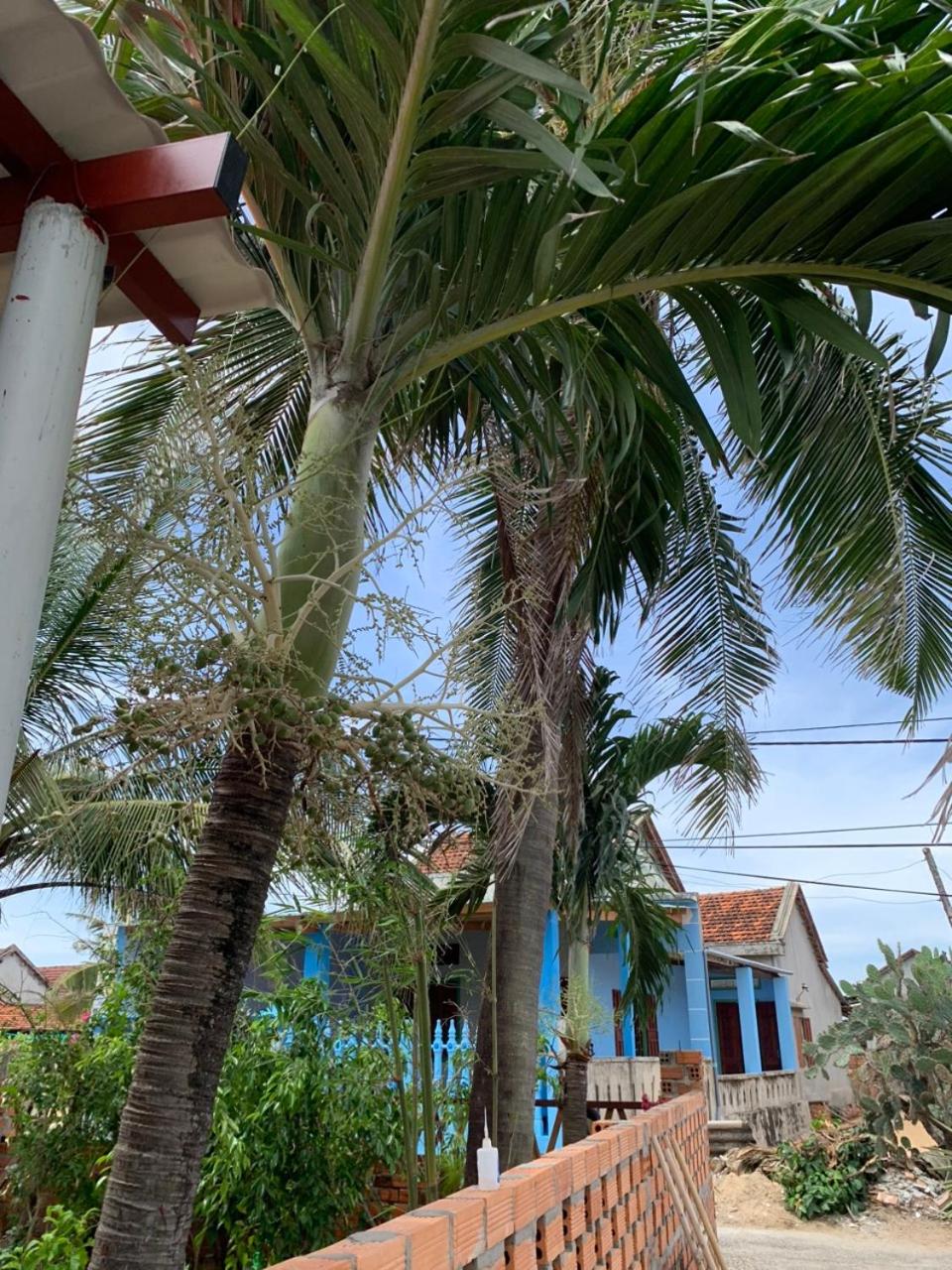 Nhà Tranh view 3