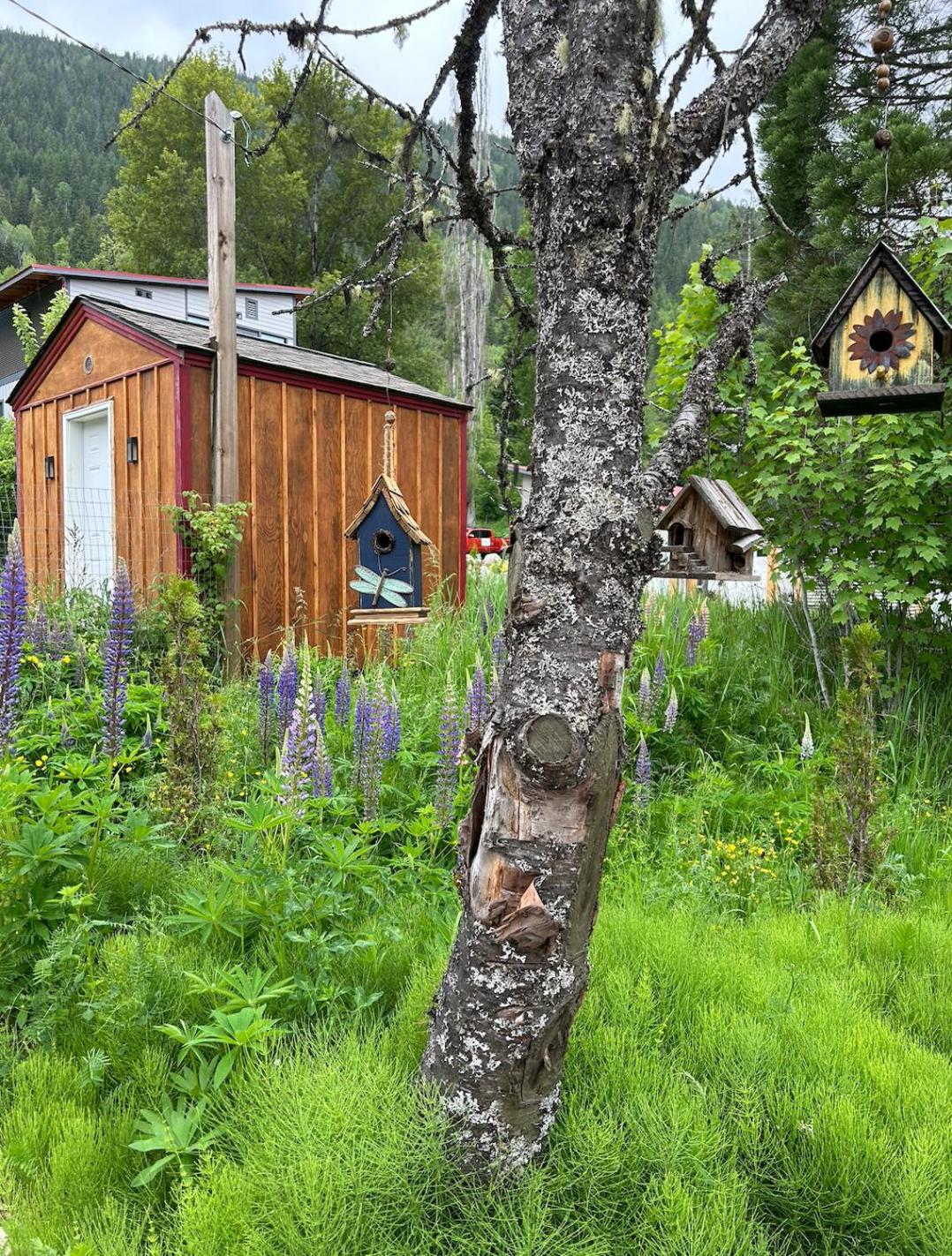 Boho Bungalow