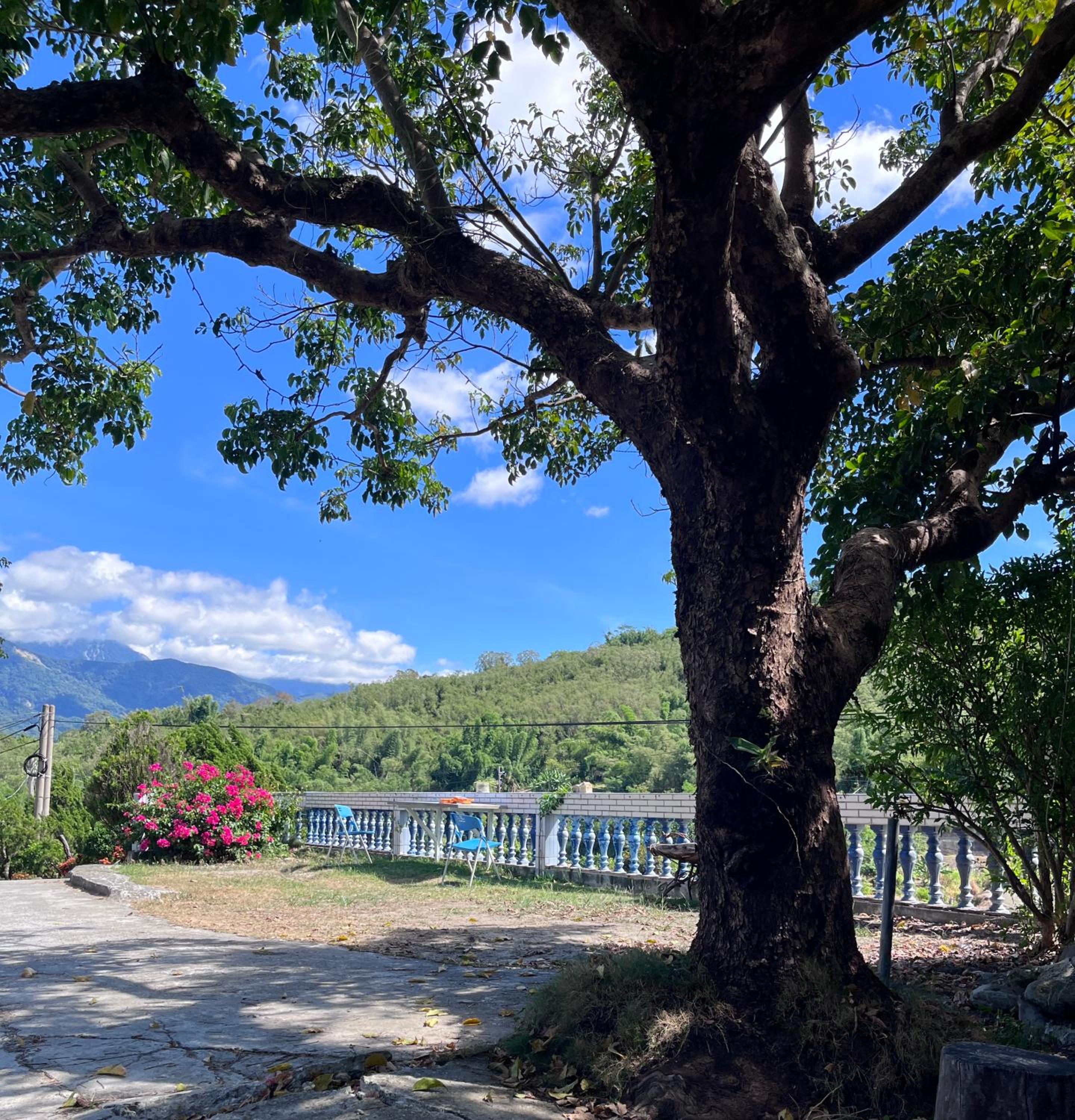 十畝田山莊 view 2