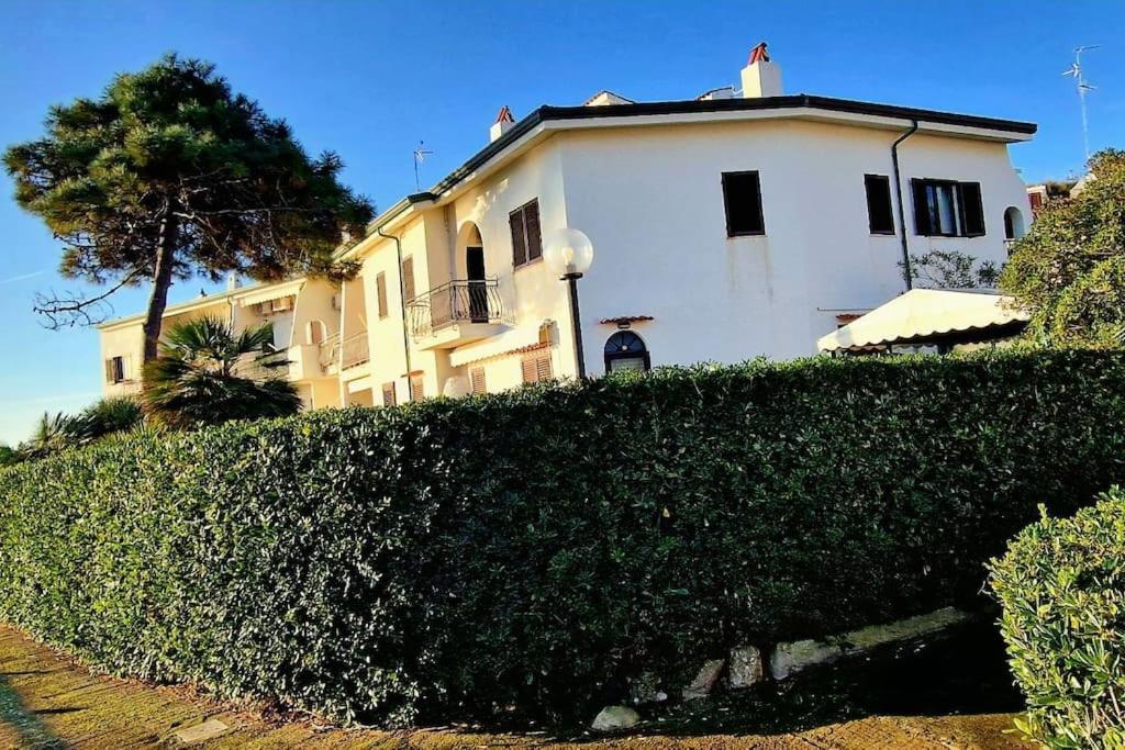 Il Fratino