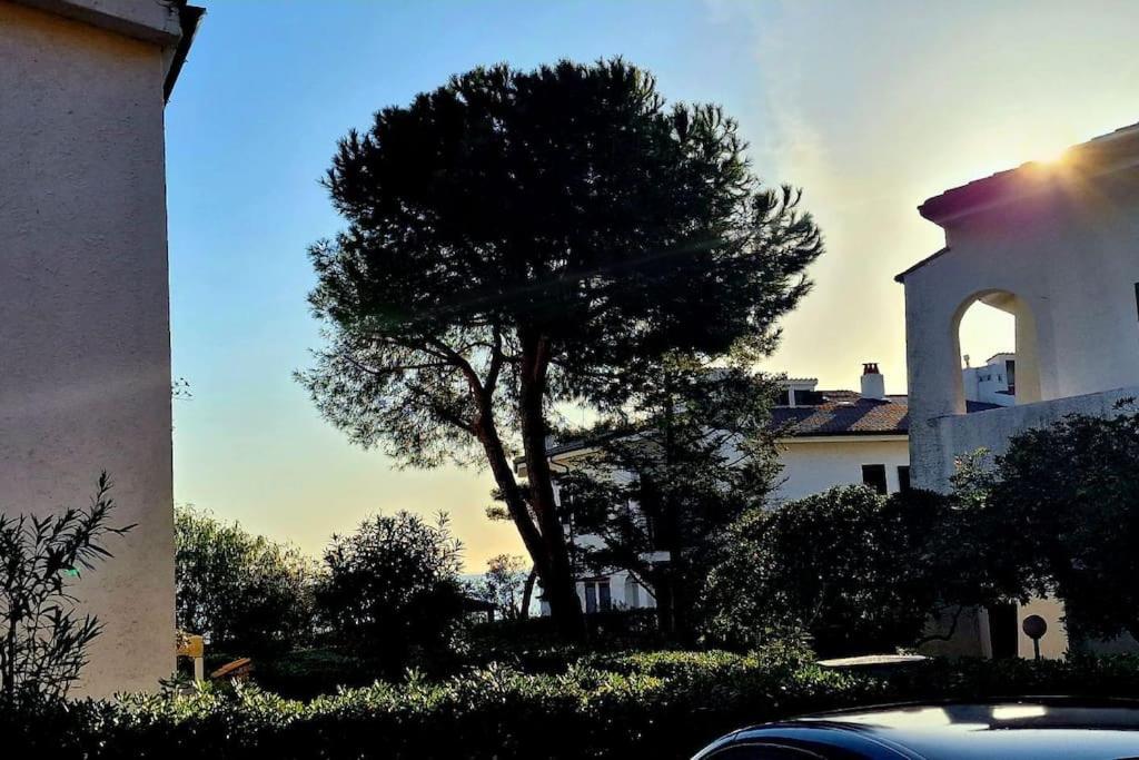 Il Fratino