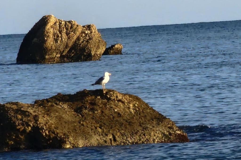 Il Fratino