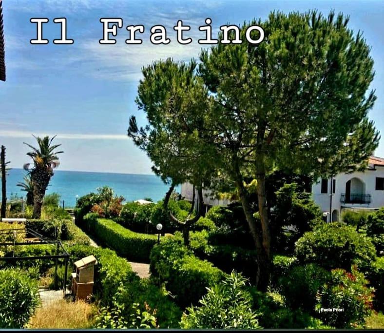 Il Fratino