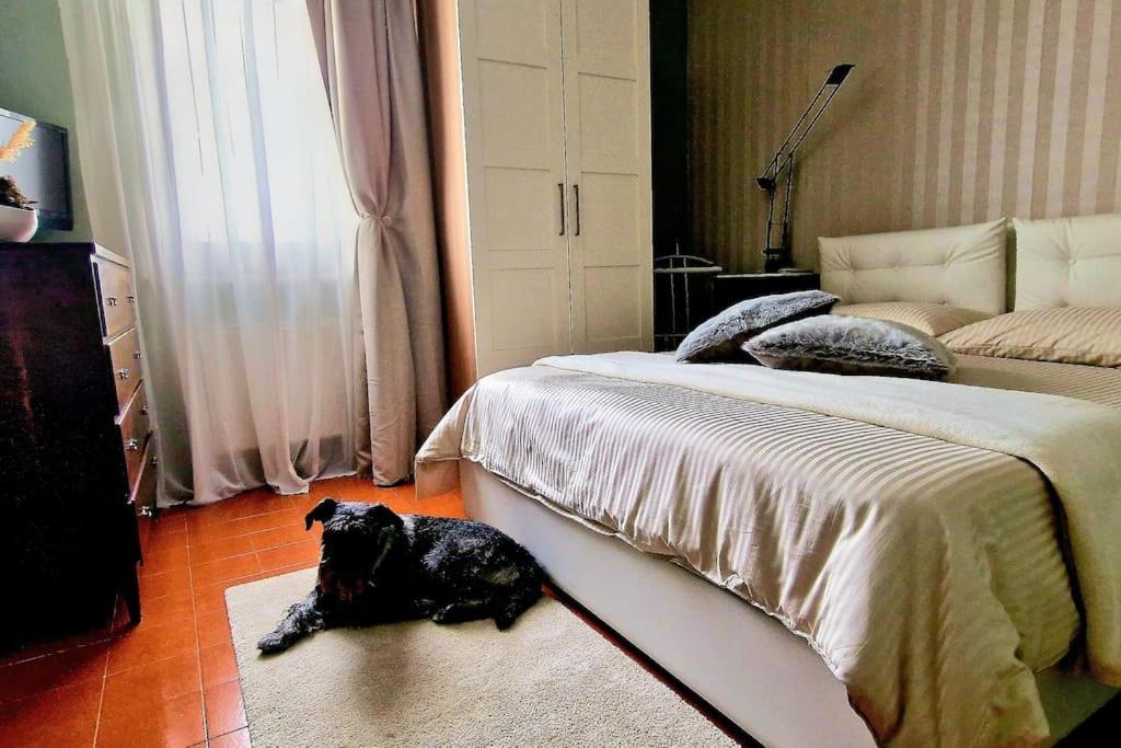 Il Fratino
