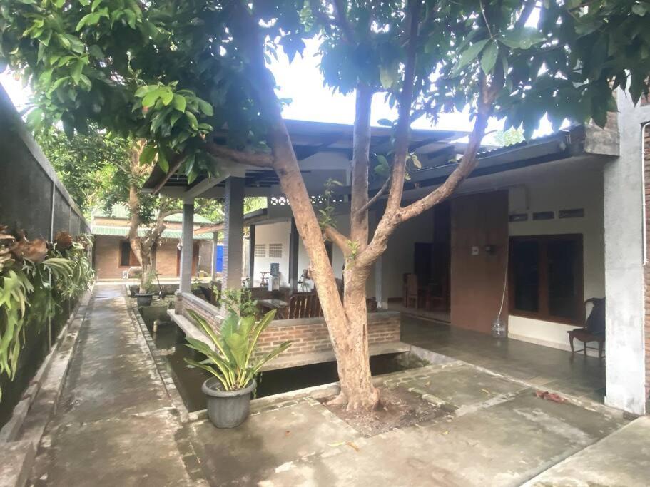 Griya Nareswara