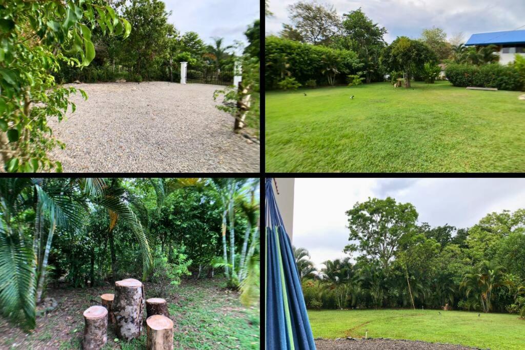 Pavones Exclusive Studio Between 2 Surf Spots 100mb