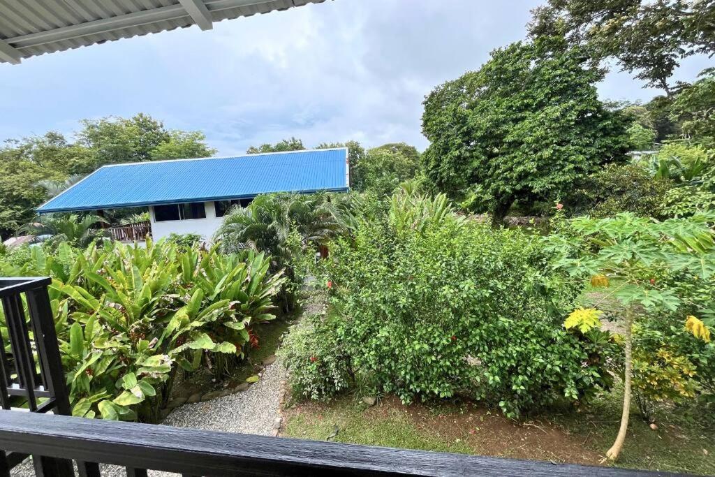 Pavones Exclusive Studio Between 2 Surf Spots 100mb