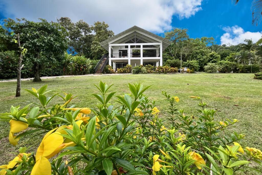 Pavones Exclusive Studio Between 2 Surf Spots 100mb
