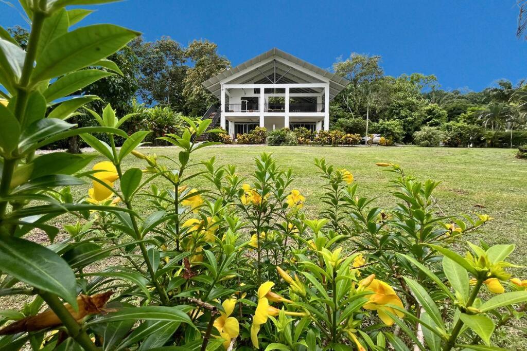 Pavones Exclusive Studio Between 2 Surf Spots 100mb