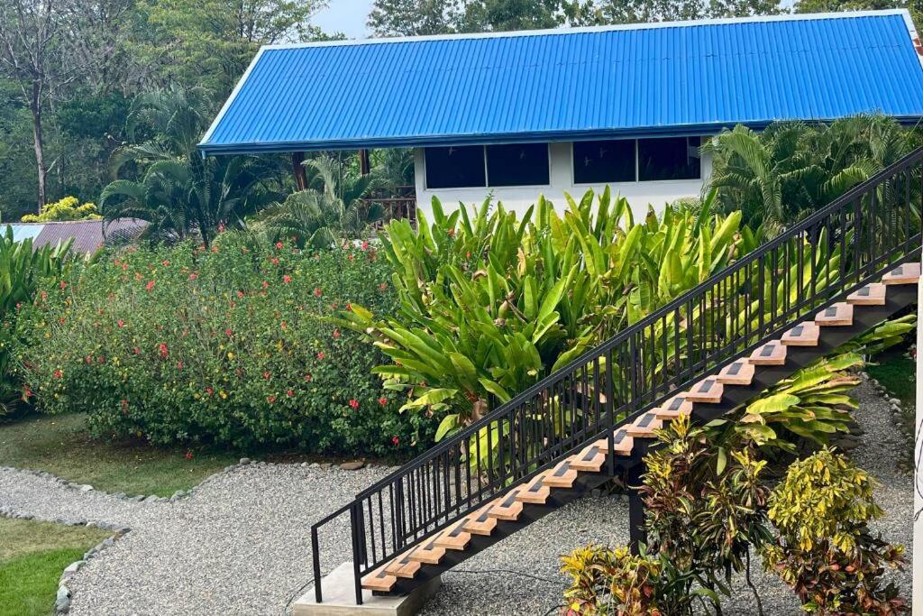 Pavones Exclusive Studio Between 2 Surf Spots 100mb
