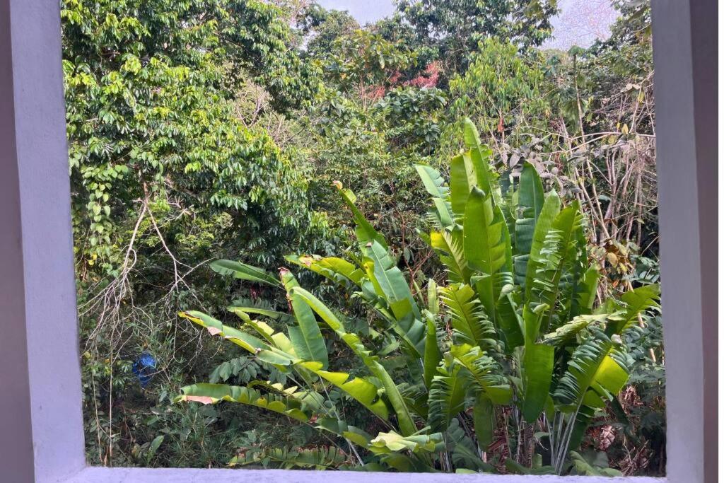 Pavones Exclusive Studio Between 2 Surf Spots 100mb