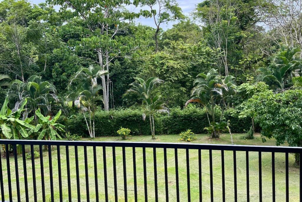 Pavones Exclusive Studio Between 2 Surf Spots 100mb