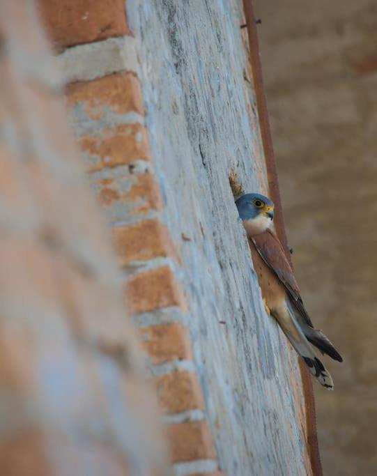 La Piccola Bellezza en Pisticci
