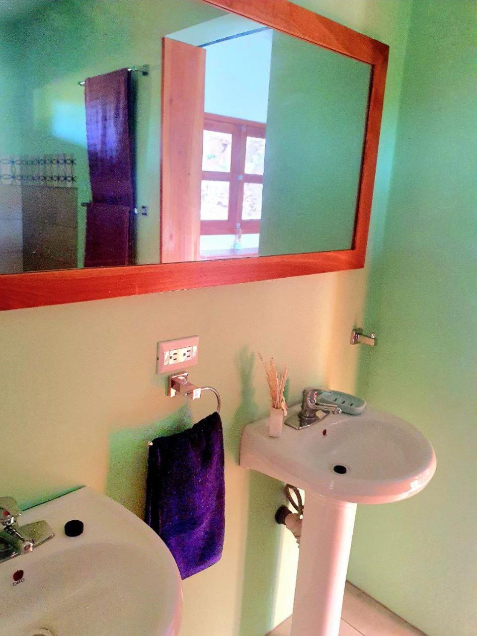 Photo 24