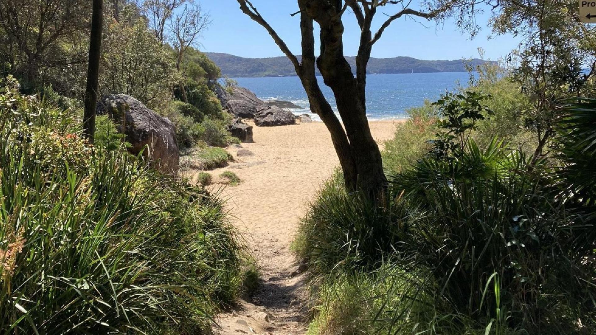 The Old Man & The Sea - Pearl Beach