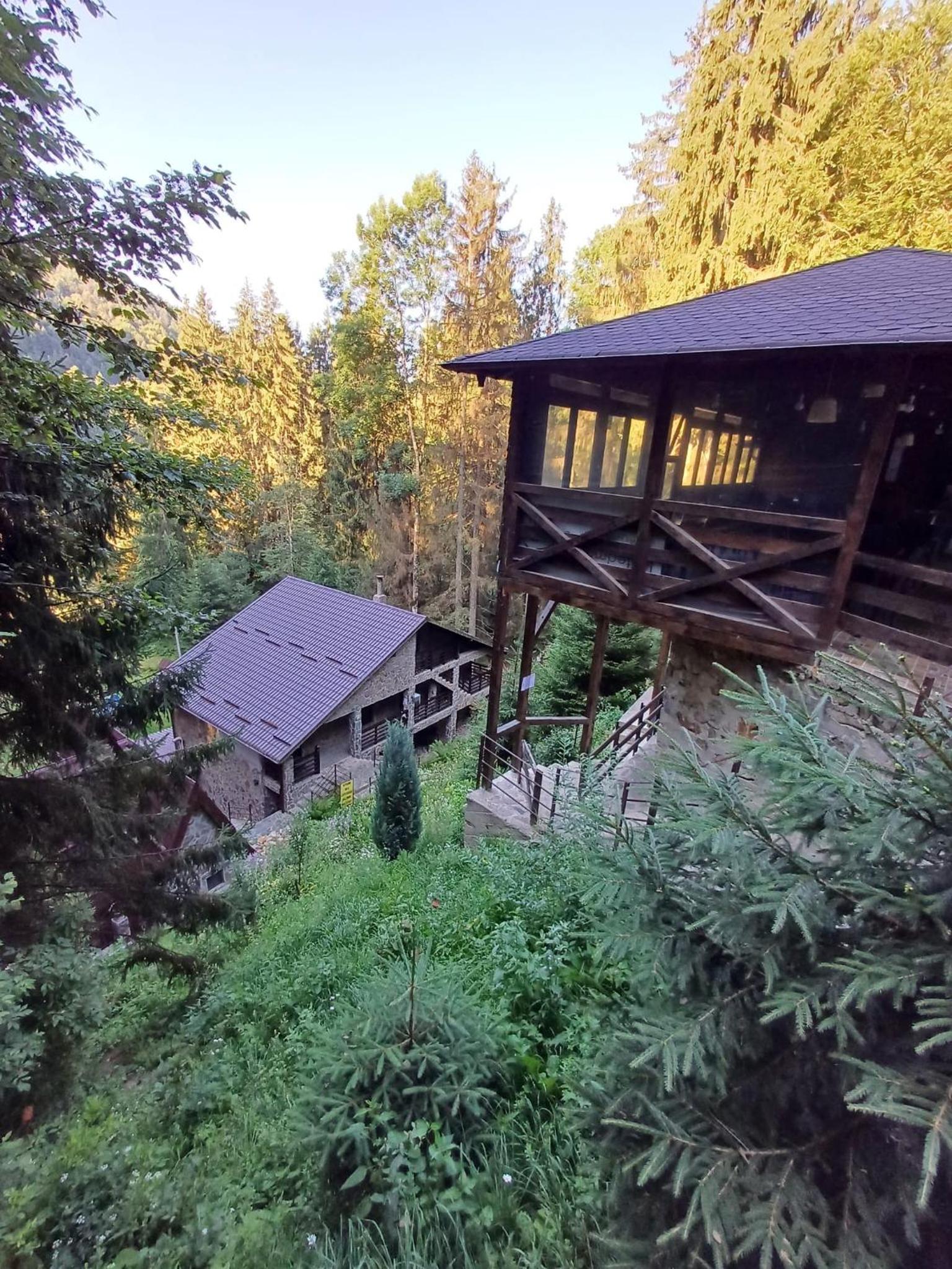 Cabana Zimbru Transfagarasan view 2
