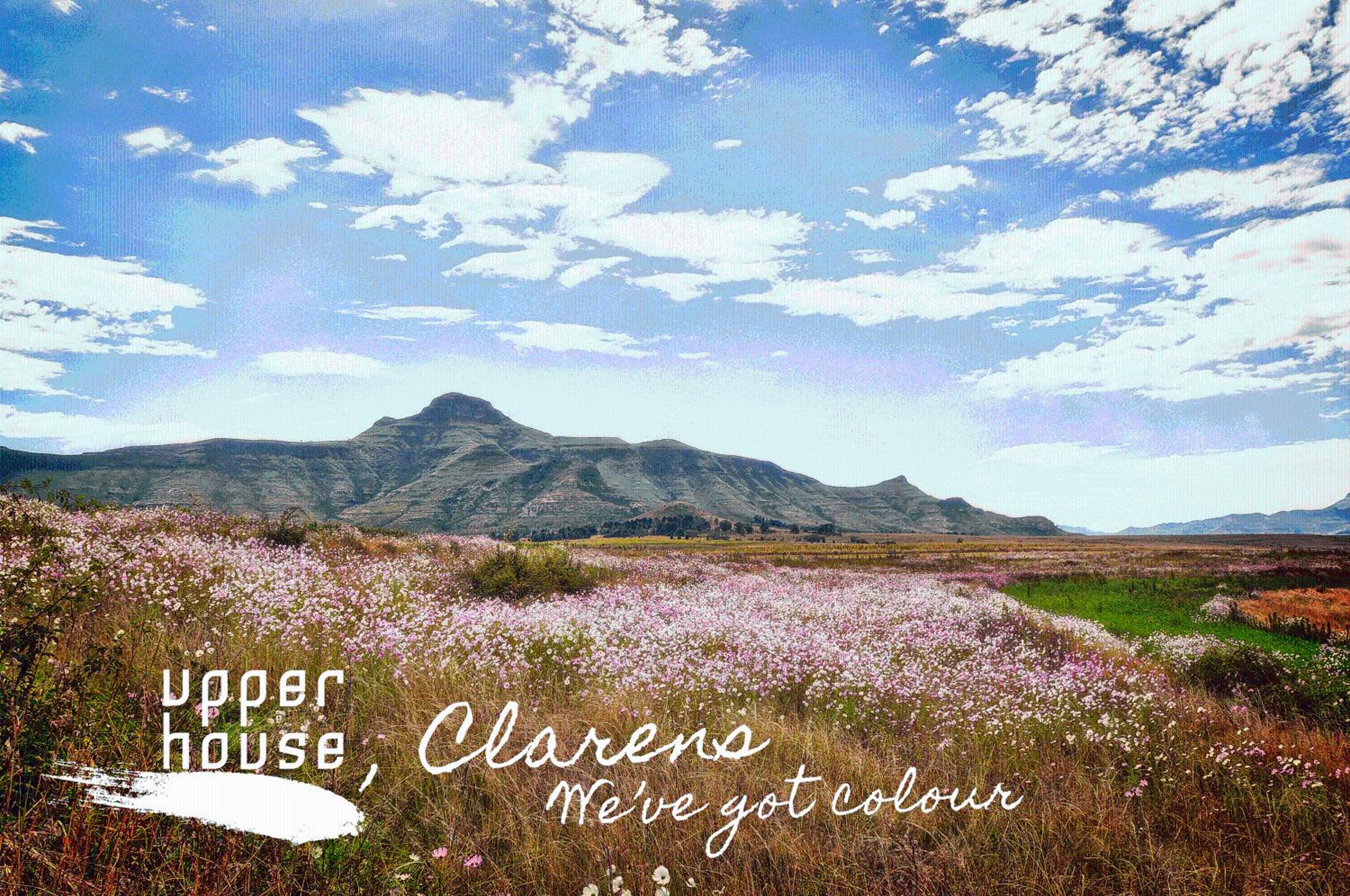 Upper House Boutique Guesthouse